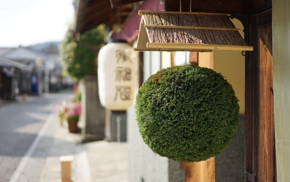 World Sake Day 🎊