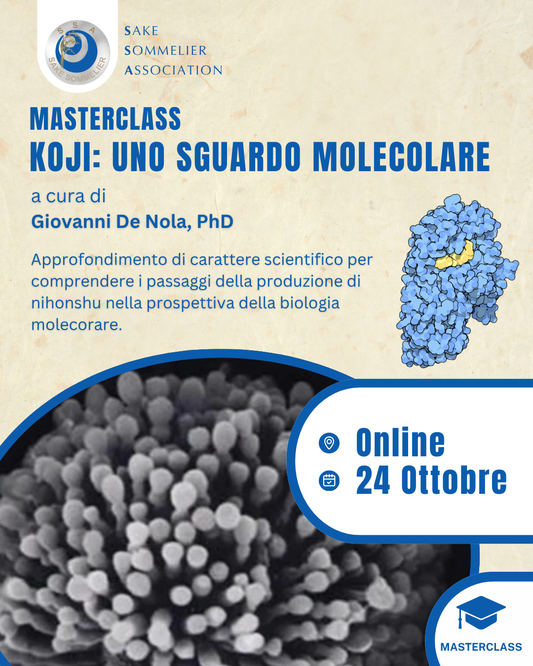Masterclass - Koji: uno sguardo molecolare